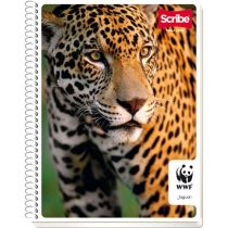 CUADERNO PROFESIONAL CUADRO...